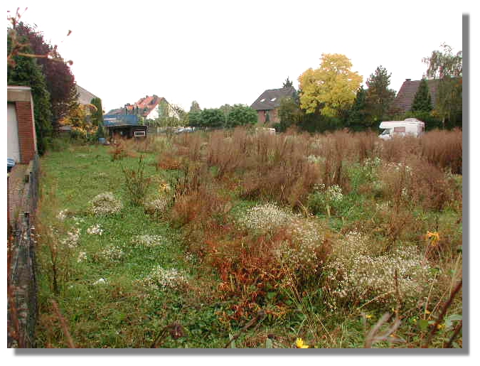 Tolles Grundstck in Kln Rheinkassel